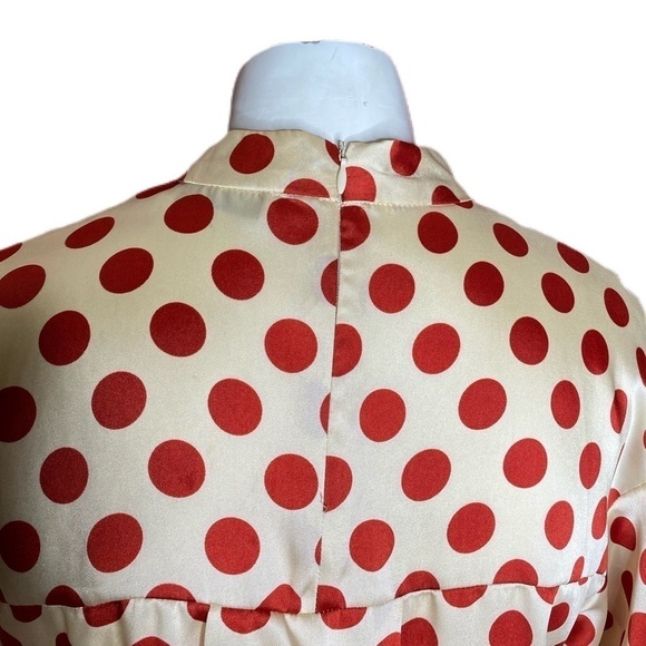 trf Collection Zara Polka Dot Blouse - Picture 6 of 6